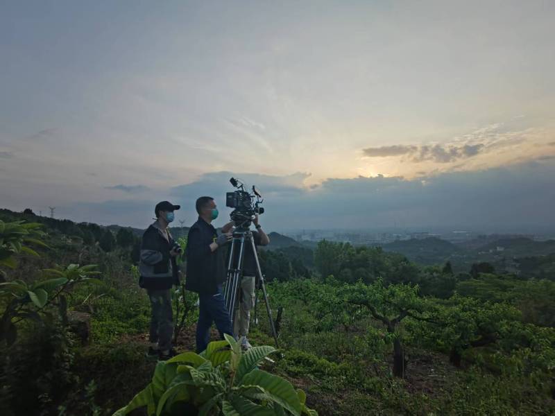 创意破圈！康平县电商产品宣传视频用故事化叙事引爆流量