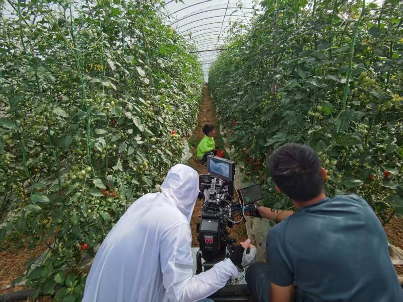 康平县产品宣传视频拍摄公司进阶指南，助力品牌抢占传播高地